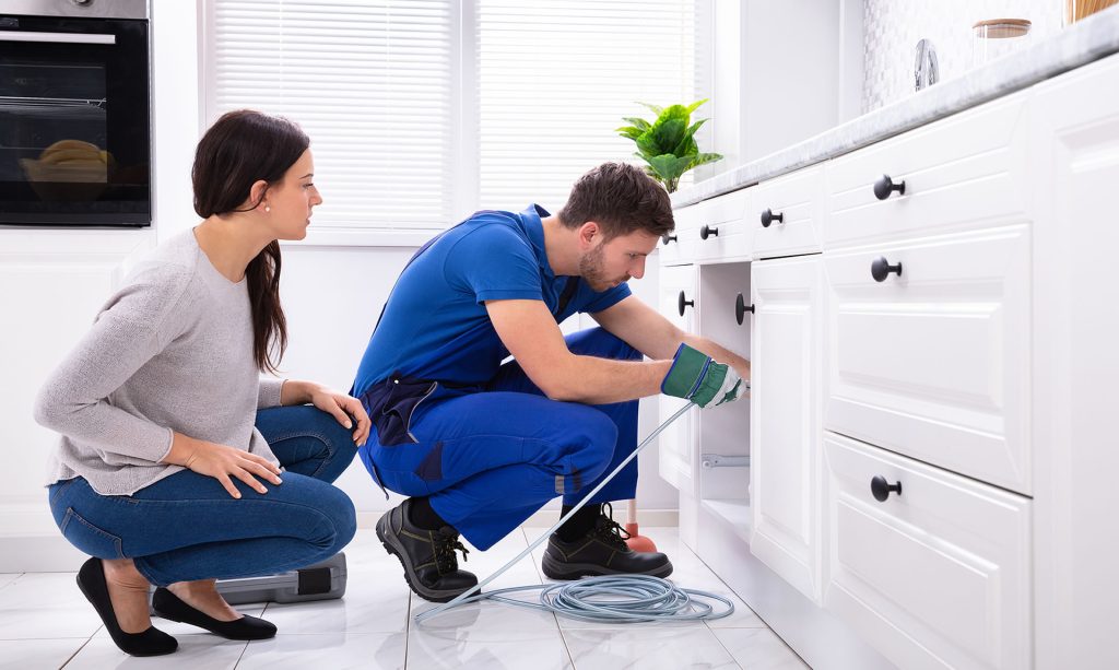 Plumber vs. Leak Detection Specialist: Who Should You Call?